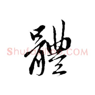 體