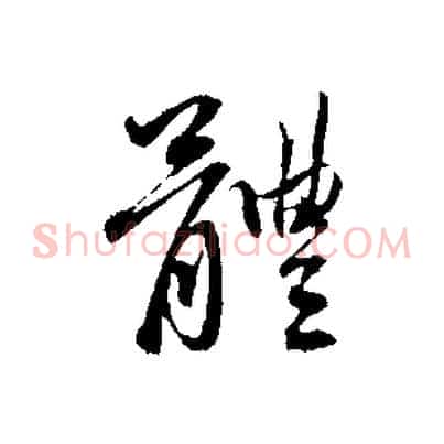 體