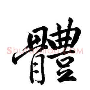 体