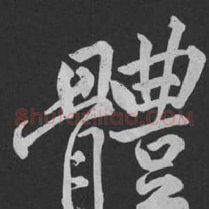 體