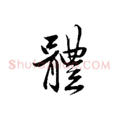 體