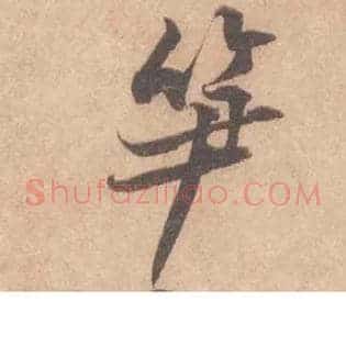 笋