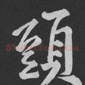 頭