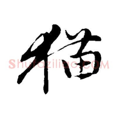 貓