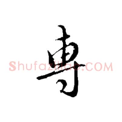 專