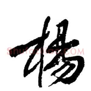 杨
