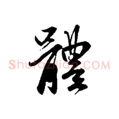 體