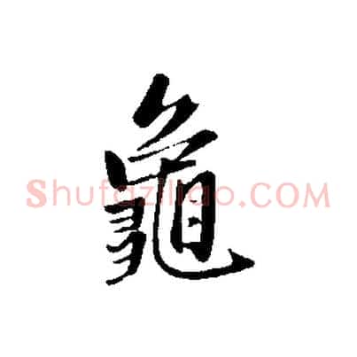 龜