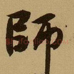 師