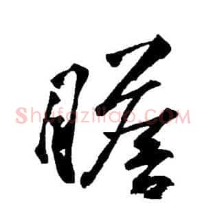 瞻