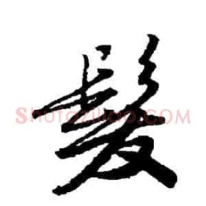 髮
