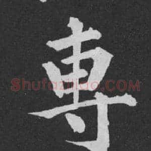 專