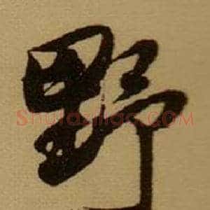 野