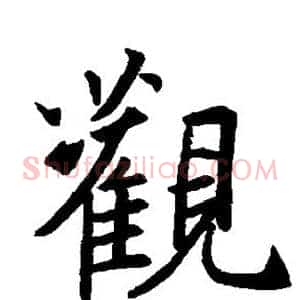 观