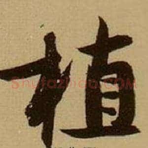 植