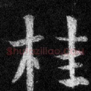 桂