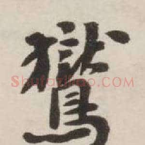 鸑