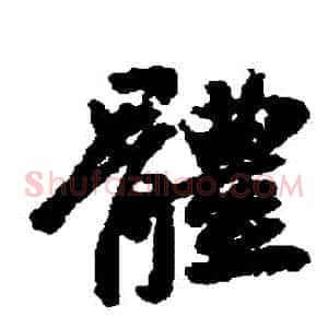 體