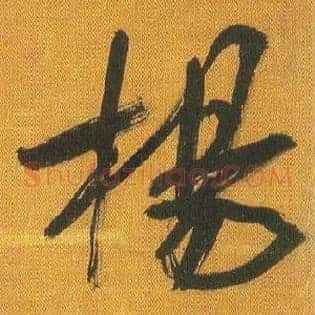 杨