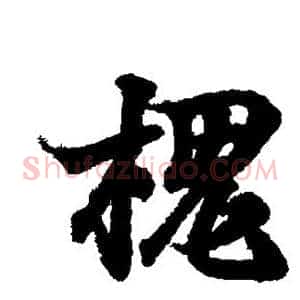 槐