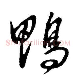 鴨