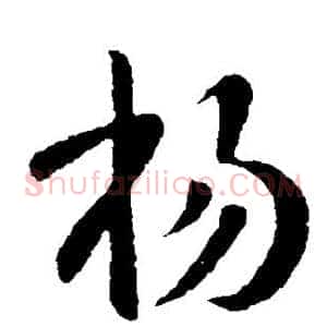杨