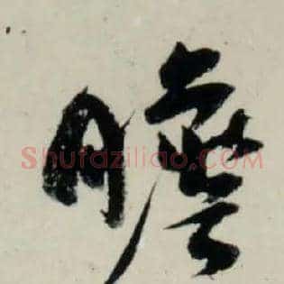 瞻