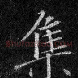 集