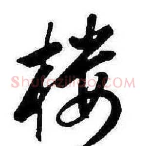 樓