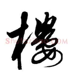 樓