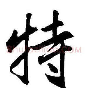 特