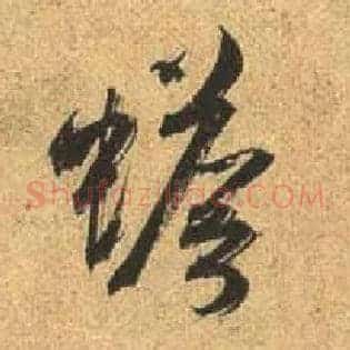 蟾