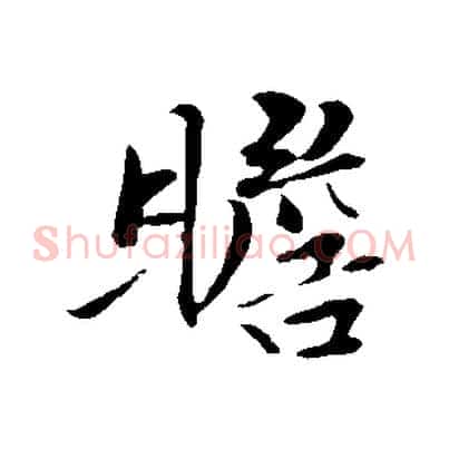 瞻