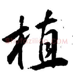 植