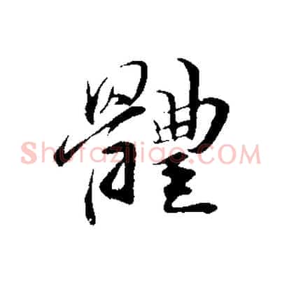 體