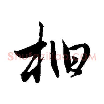 柏
