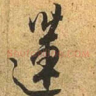 莲