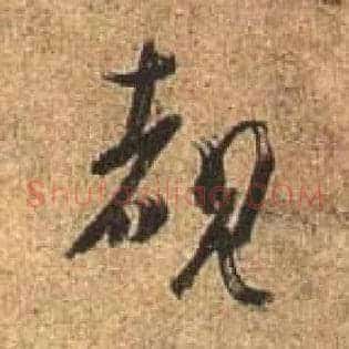 睹