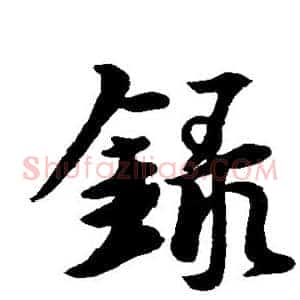 录