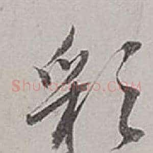 彩