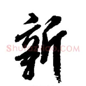 新