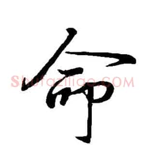 命