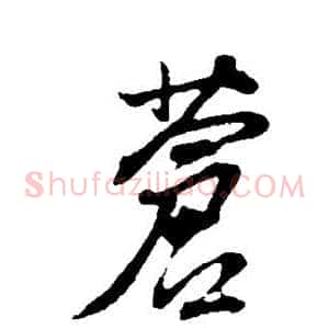苍