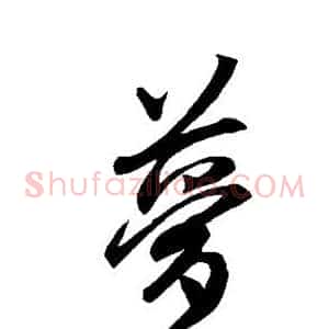 梦