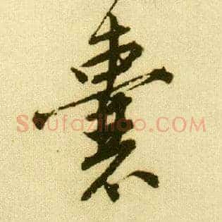 囊