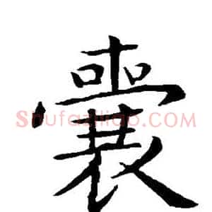 囊