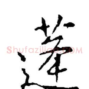 蓬