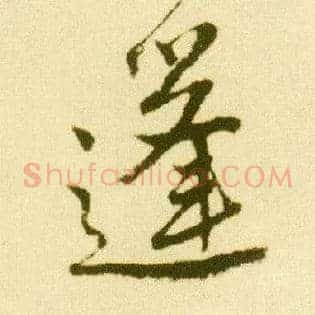 蓬