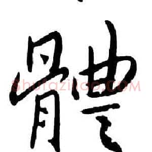 體