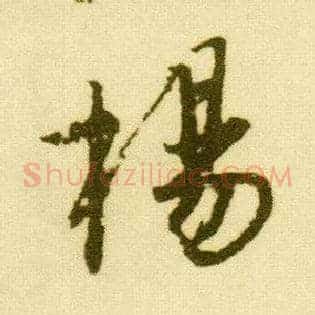 杨